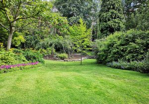 Optimiser l'expérience du jardin à Antogny-le-Tillac